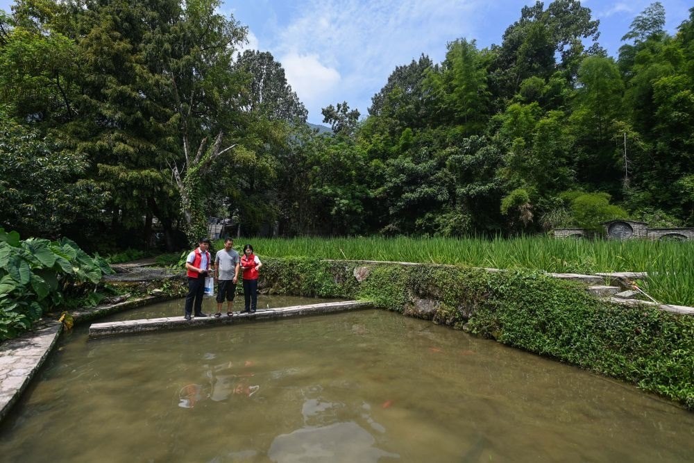2023年8月17日，浙江省麗水市青田縣方山鄉(xiāng)田魚(yú)養(yǎng)殖戶吳勇強(qiáng)（中）在接受青田農(nóng)商銀行“小蜻蜓”服務(wù)隊(duì)志愿者提供的“惠民易貸”上門(mén)服務(wù)。近年來(lái)，青田縣金融發(fā)展中心聯(lián)合各個(gè)金融機(jī)構(gòu)優(yōu)化配套鄉(xiāng)村振興金融服務(wù)，推出“惠民易貸”“農(nóng)家樂(lè)貸”等金融產(chǎn)品，重點(diǎn)支持涉農(nóng)龍頭企業(yè)及特色種養(yǎng)殖產(chǎn)業(yè)。新華社記者 徐昱 攝