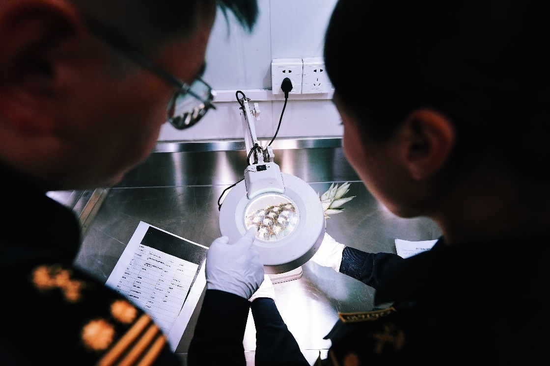 上海海關(guān)關(guān)員針對(duì)檢疫性有害生物和農(nóng)藥殘留進(jìn)行檢疫檢驗(yàn)。陳興洲攝