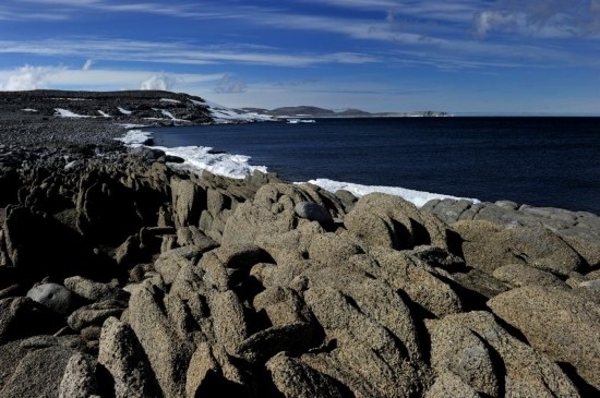 羅斯海恩克斯堡島的夏季風(fēng)光。新華社記者 張建松 攝