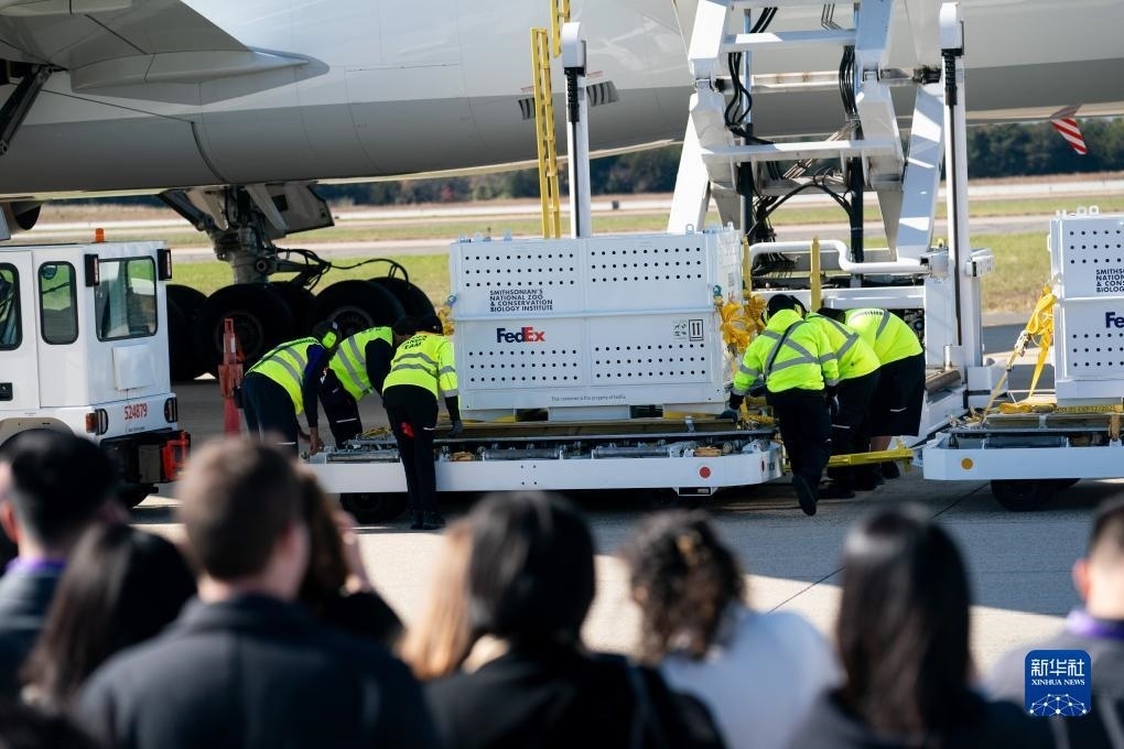 11月8日，在美國(guó)弗吉尼亞州的華盛頓杜勒斯國(guó)際機(jī)場(chǎng)，裝有大熊貓的特制“旅行包廂”準(zhǔn)備運(yùn)上專機(jī)。新華社記者劉杰攝