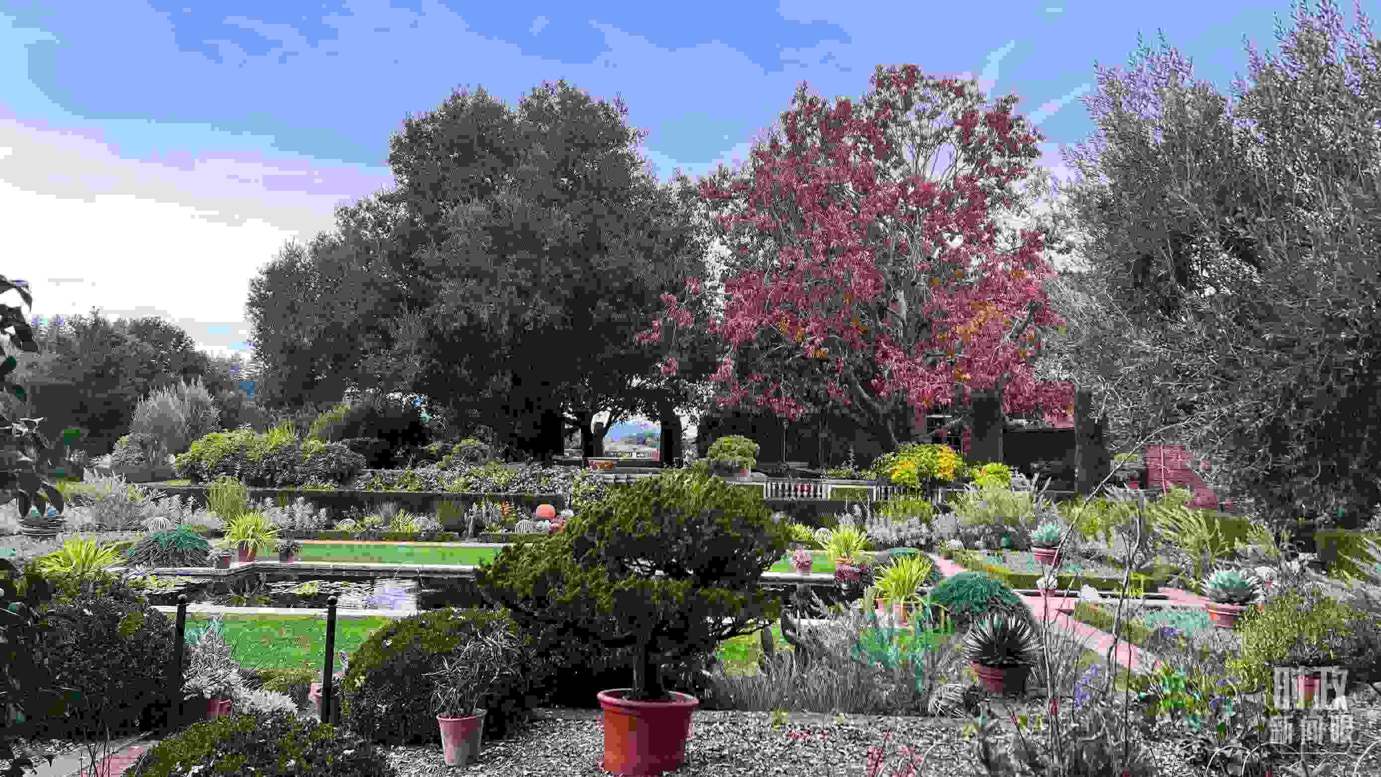 斐洛里莊園被稱作美國20世紀(jì)現(xiàn)存最精美鄉(xiāng)村莊園之一。（總臺(tái)央視記者程鋮拍攝）