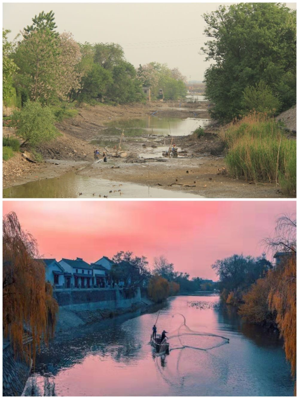 江蘇省揚州市江都區(qū)明清運河故道整治前后。（上圖：2012年；下圖：2020年）（孫友定 攝）