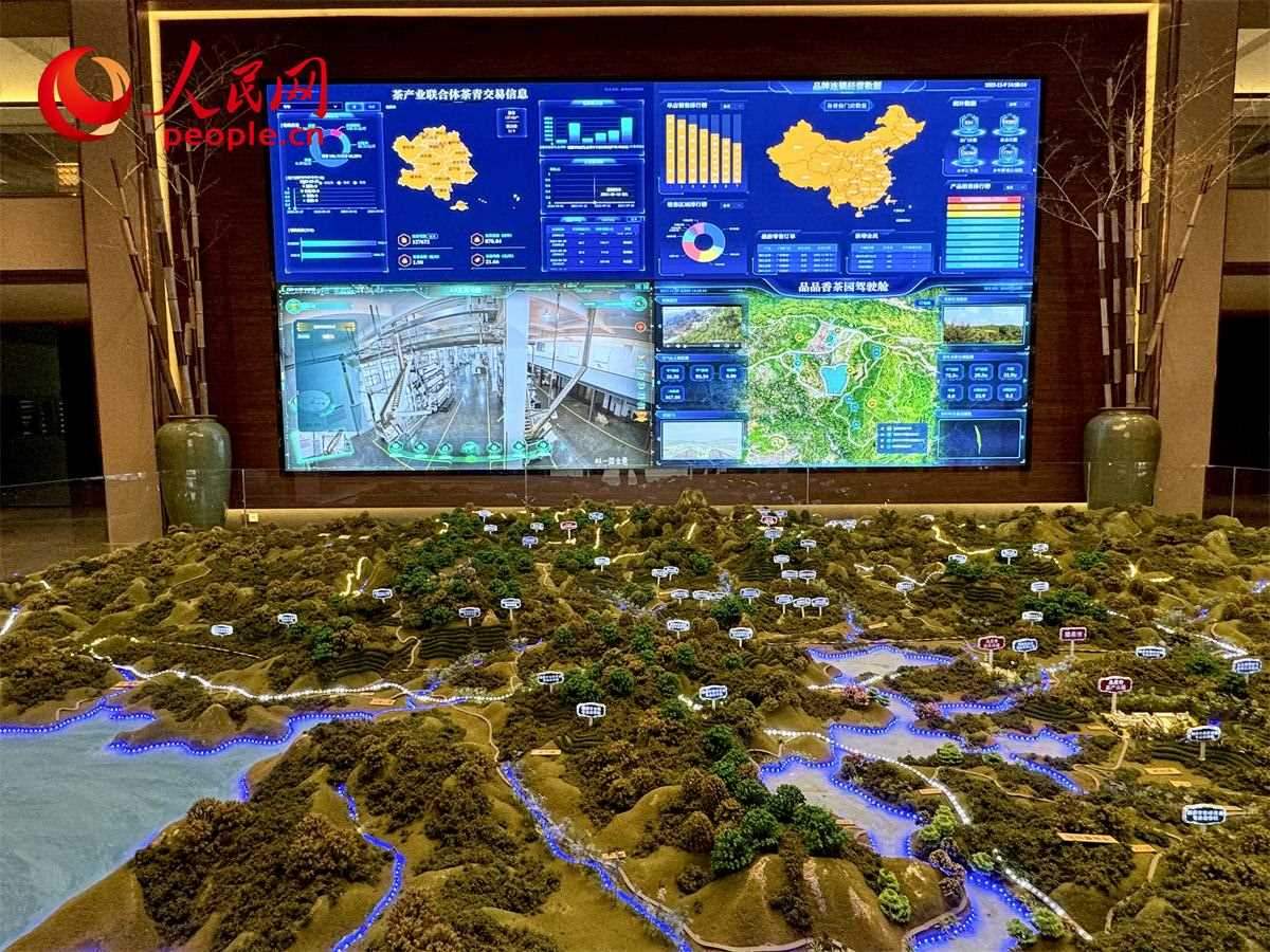 品品香白茶產(chǎn)業(yè)園信息中心數(shù)智化大屏。人民網(wǎng)記者 劉微攝