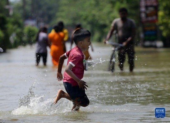 11月24日，一名男孩在斯里蘭卡加姆珀哈涉水出行。新華社發(fā)（阿吉特·佩雷拉攝）