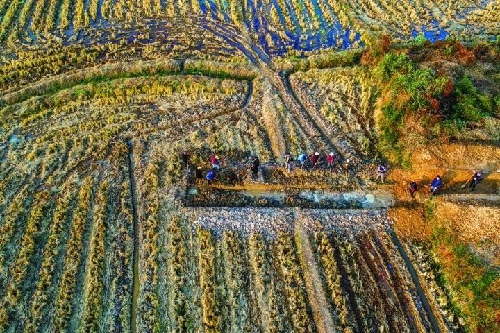 良渚遺址考古發(fā)掘現(xiàn)場(chǎng)。