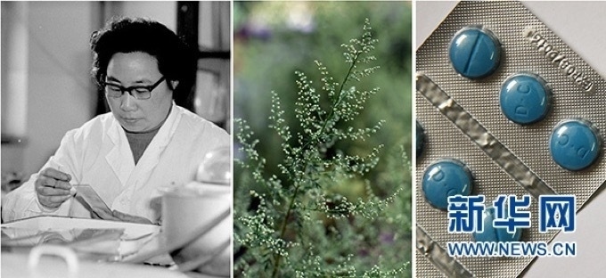 屠呦呦、青蒿和抗瘧疾成藥（拼版資料照片）
