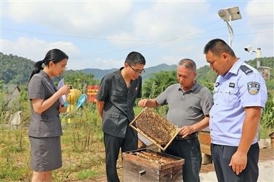  圖②：蒙山法院黃村法庭法官深入蜂蜜合作社，實(shí)地了解蜂農(nóng)需求。