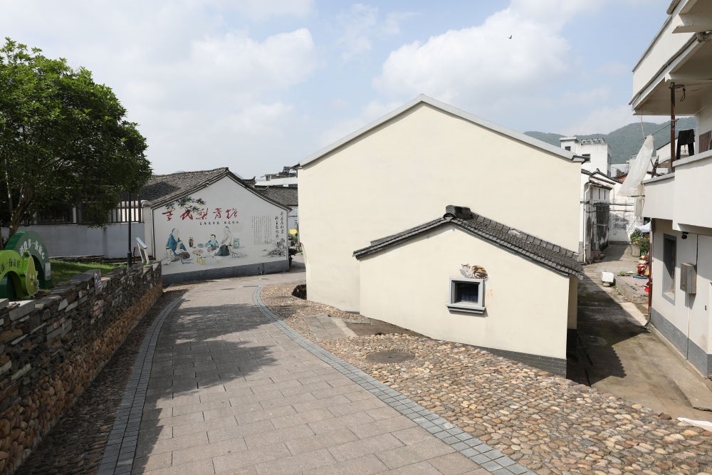 浙江省義烏市李祖村一景（2023年5月23日攝）。新華社記者 杜瀟逸 攝