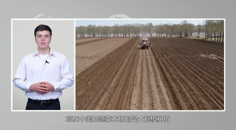 【國際3分鐘】中國大蒜成國家威脅？美政客反智言論背后的問題值得思考_fororder_2