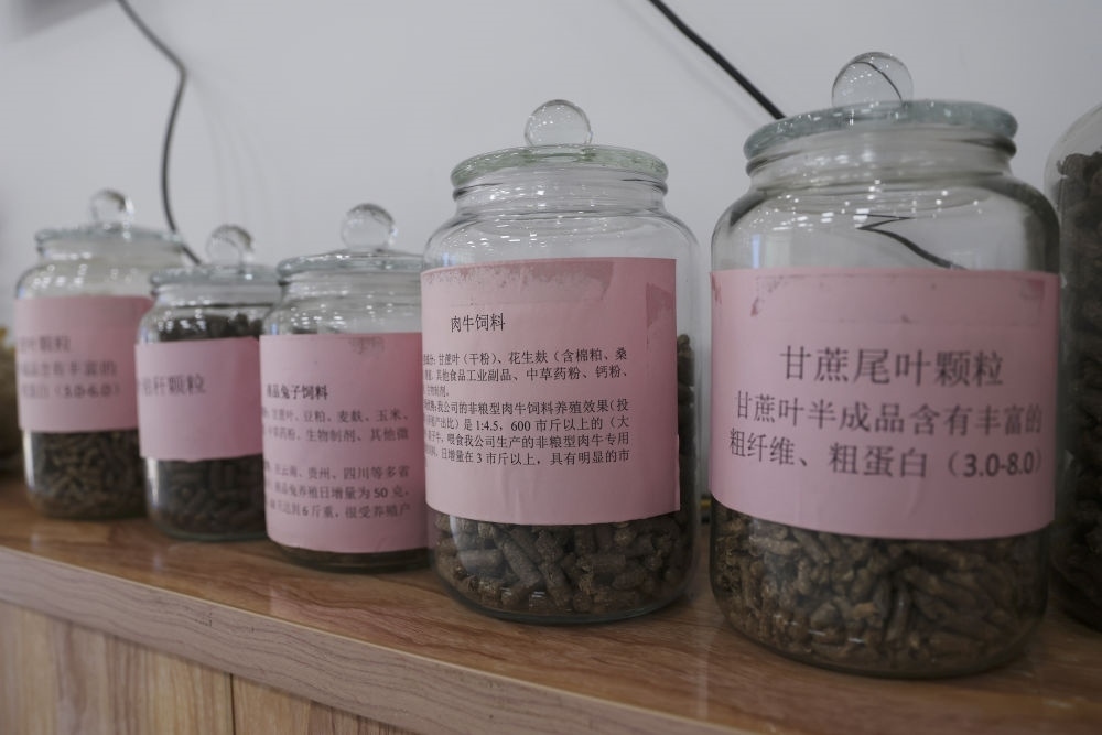 這是12月13日在來賓市興賓區(qū)小平陽鎮(zhèn)一家飼料廠拍攝的以甘蔗尾葉為原料制成的飼料。