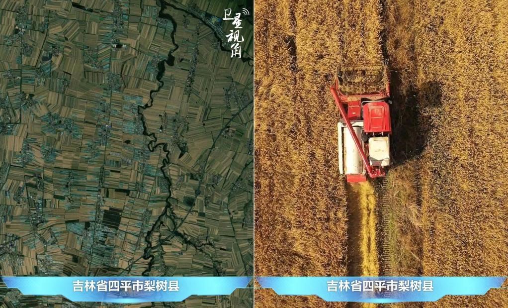 隨著現(xiàn)代化農(nóng)機普及應(yīng)用，保護性耕作“梨樹模式”得以大面積推廣，不僅使黑土地保護與利用持續(xù)深入，更為糧食作物高產(chǎn)穩(wěn)產(chǎn)助力。