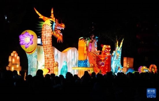 2月11日晚，人們在濟南市趵突泉公園觀賞花燈。