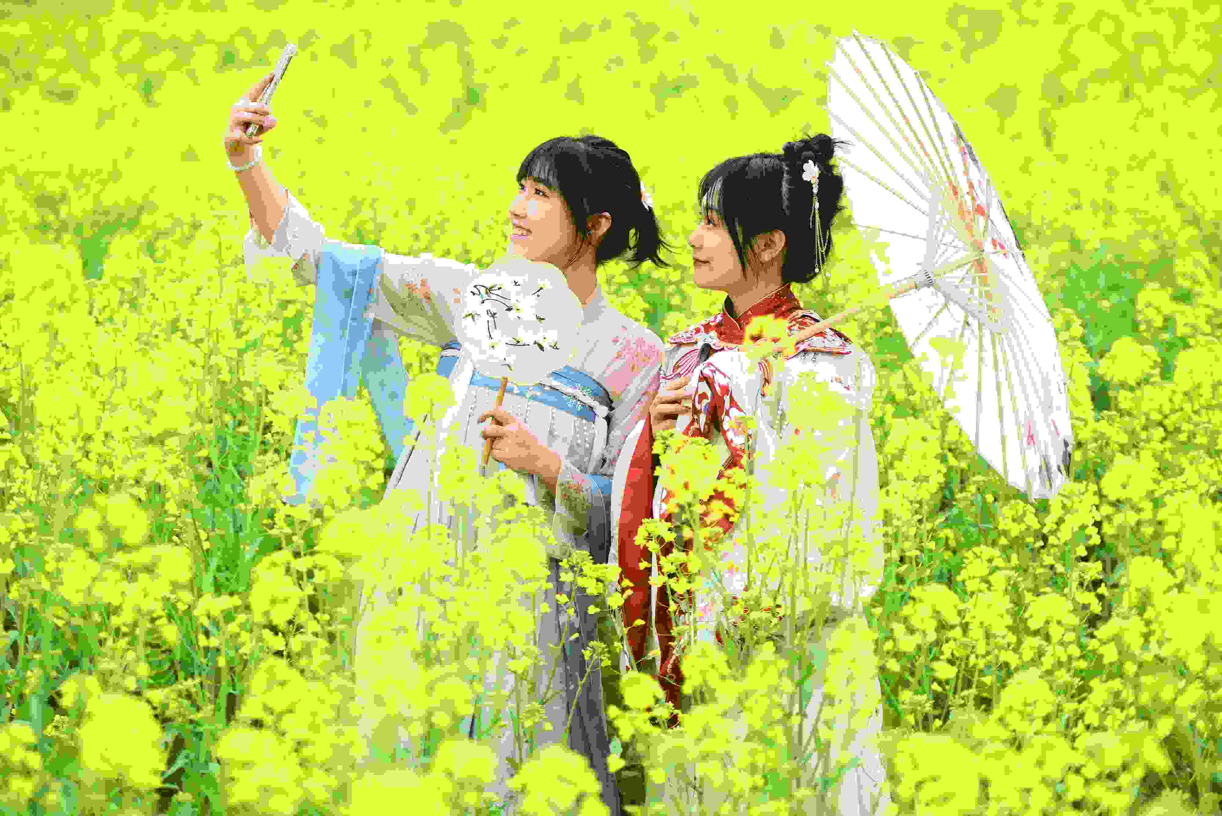 △ 2024年2月16日，廣西賀州，在富川瑤族自治縣麥嶺鎮(zhèn)三民村，游客在油菜花田間賞花拍照。