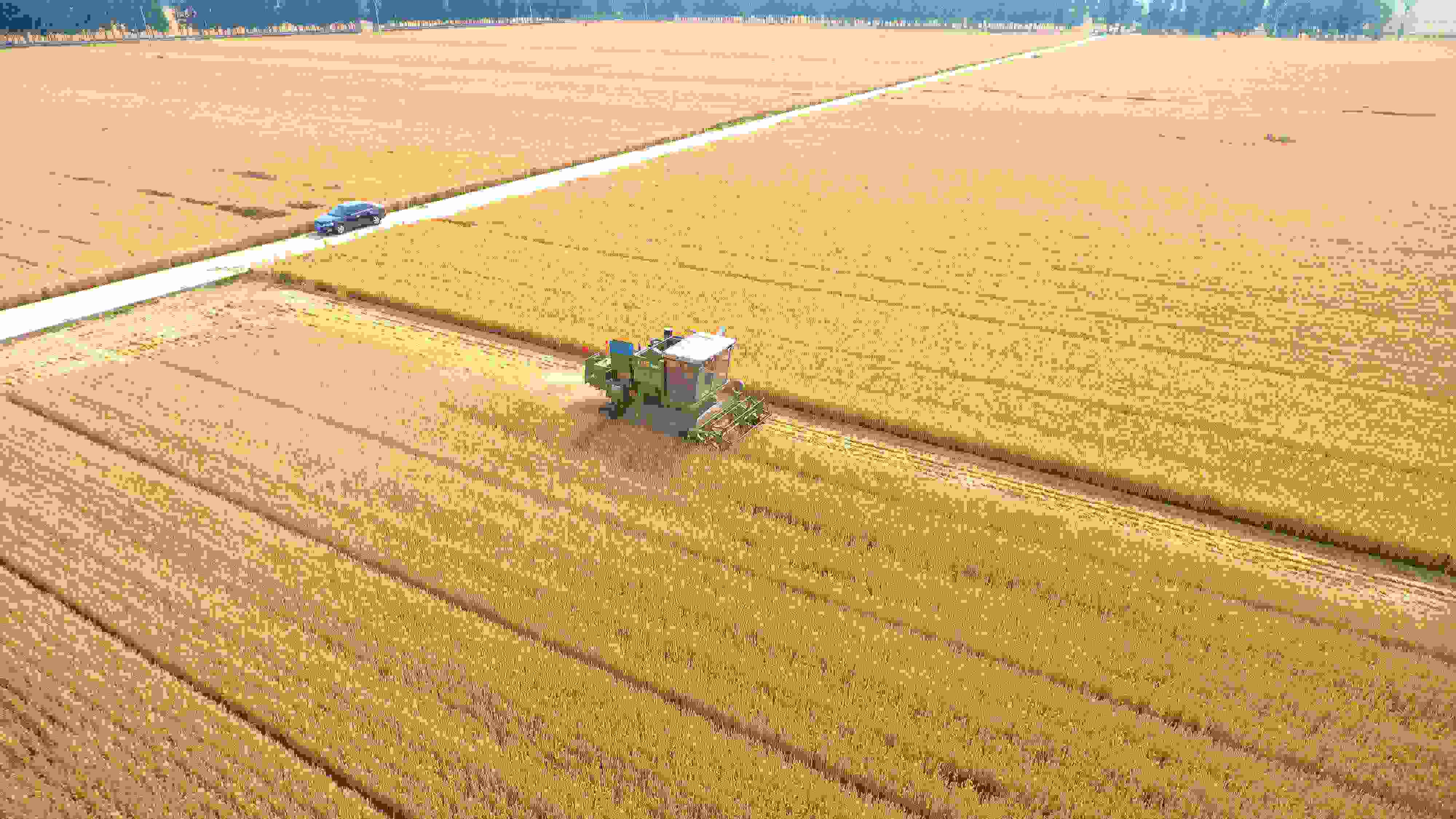 △ 2023年6月5日，山東聊城茌平區(qū)賈寨鎮(zhèn)王藥包村，收割機(jī)在田間進(jìn)行小麥?zhǔn)崭钭鳂I(yè)。