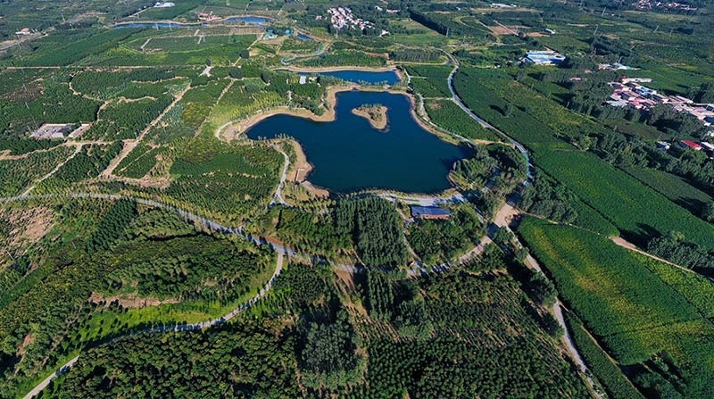 這是2022年9月6日拍攝的雄安新區(qū)“千年秀林”。