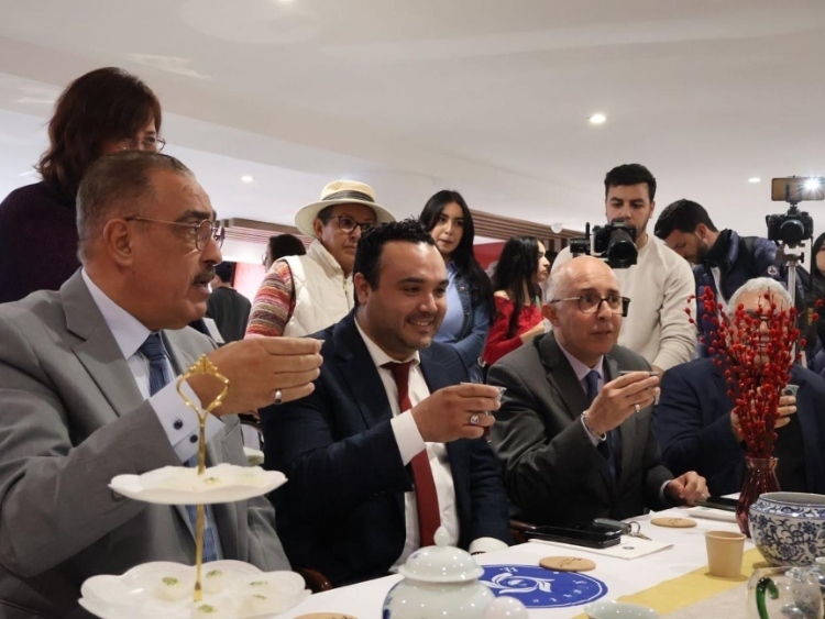 觀(guān)眾興致勃勃地體驗(yàn)茶藝。陳芷珊攝