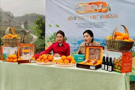 2021年2月26日，在重慶渝北區(qū)大盛鎮(zhèn)青龍村舉辦的直播活動(dòng)現(xiàn)場(chǎng)。