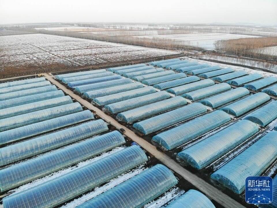 新華全媒+｜“大糧倉”黑龍江春耕備耕火熱進(jìn)行