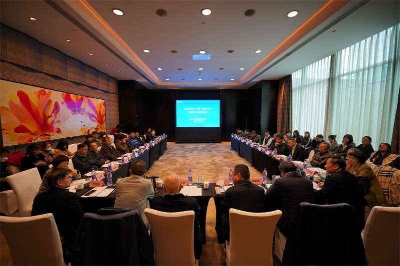 座談會現(xiàn)場。主辦方供圖