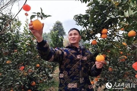 鐵牛村村民趙光進(jìn)。人民網(wǎng)記者 朱虹攝