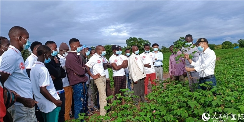 項(xiàng)目組長(zhǎng)首小勇向當(dāng)?shù)孛揶r(nóng)做技術(shù)講解。人民網(wǎng)記者 黃培昭攝