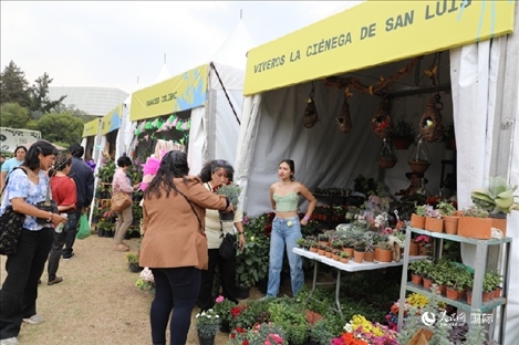 坎波·馬特活動(dòng)現(xiàn)場。埃內(nèi)斯托·多明戈斯攝