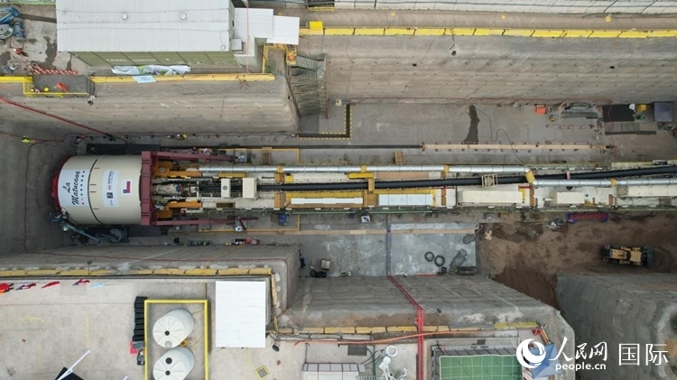 質(zhì)構(gòu)機(jī)全景。陳露明攝