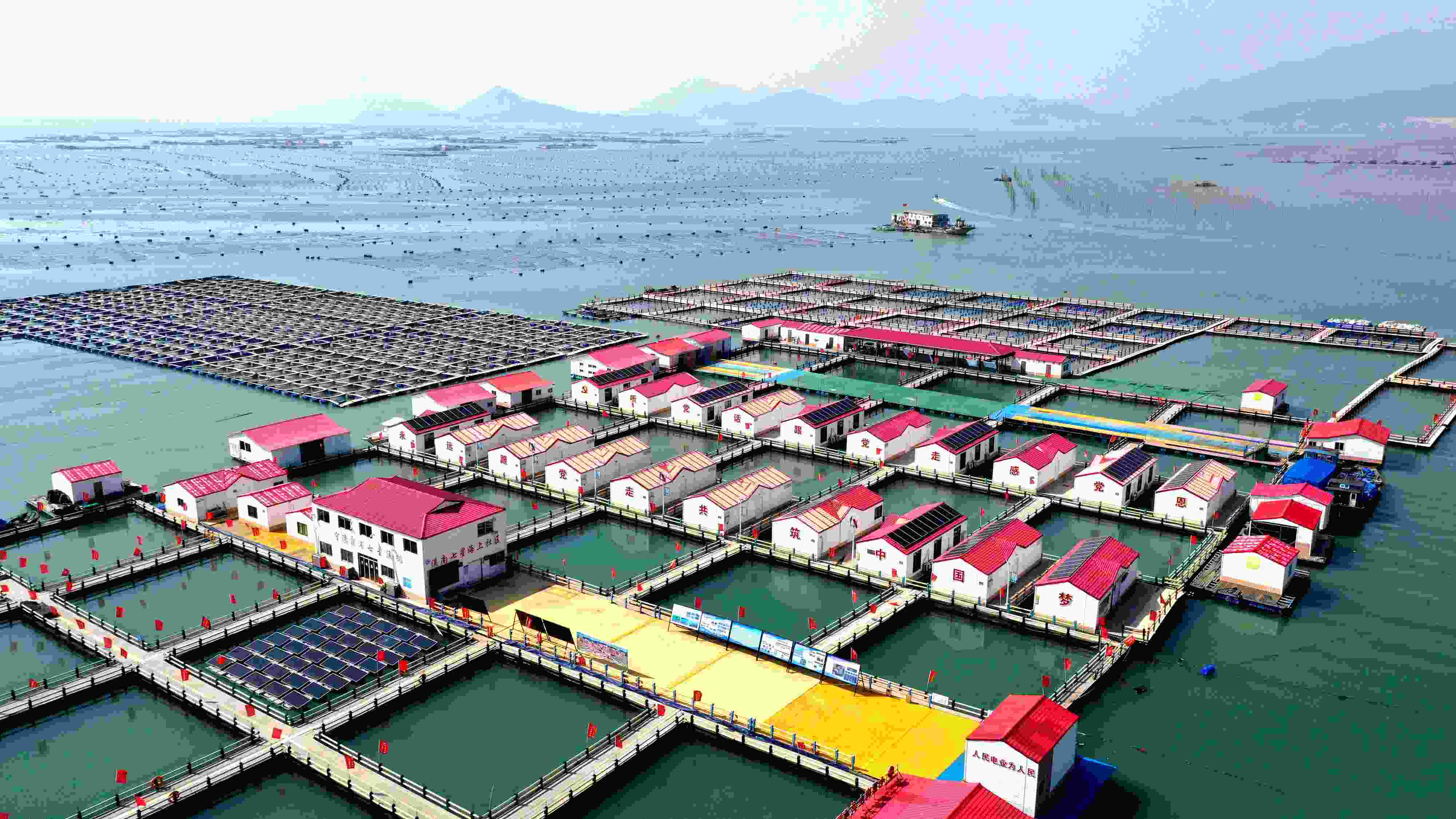 2024年3月20日，福建省寧德市，霞浦縣溪南鎮(zhèn)七星村漁排養(yǎng)殖示范區(qū)，漁民駕駛養(yǎng)殖船進(jìn)行海參養(yǎng)殖作業(yè)。