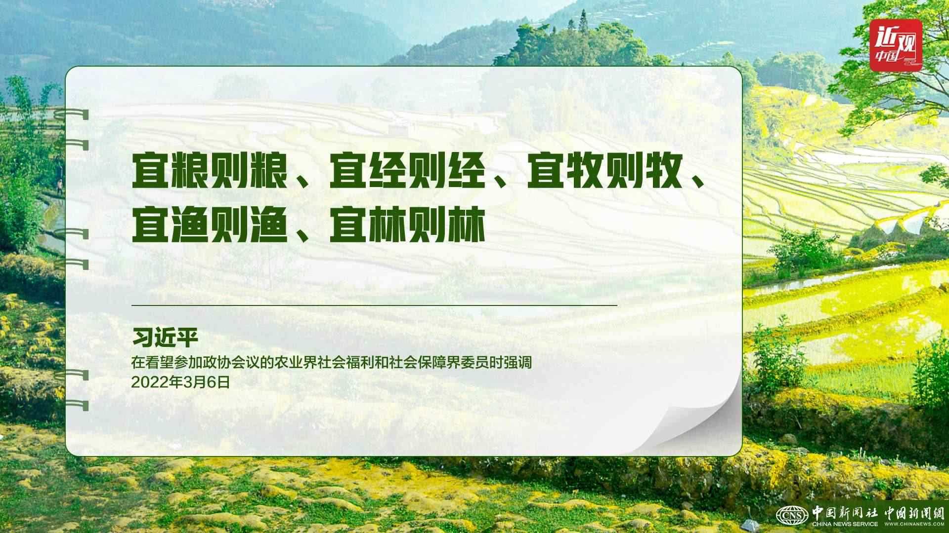 習(xí)近平：樹立大食物觀，構(gòu)建多元化食物供給體系