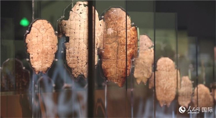 殷墟博物館新館的甲骨展品。人民網(wǎng)記者 劉寧攝