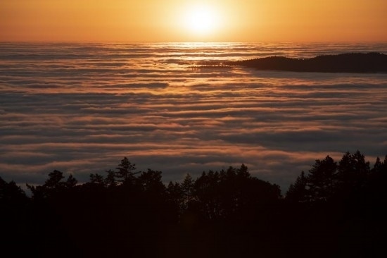 這是5月14日在美國加利福尼亞州馬林縣拍攝的云海。新華社發(fā)（李建國攝）