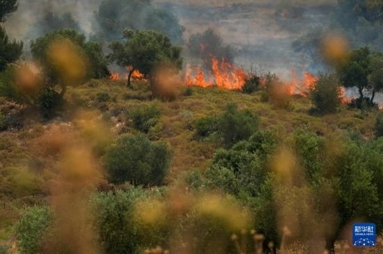 6月12日，以色列北部加利利地區(qū)遭受火箭彈襲擊后冒出滾滾濃煙。新華社發(fā)（阿亞爾·馬戈林?jǐn)z/基尼圖片社）