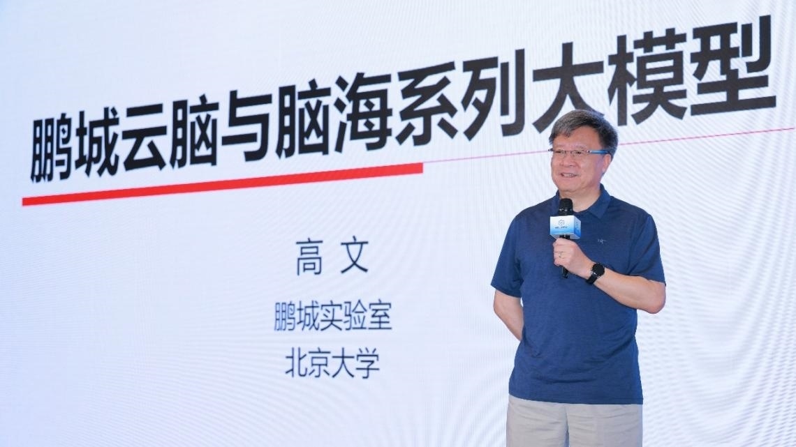 高文院士做大會(huì)特邀報(bào)告。主辦方供圖