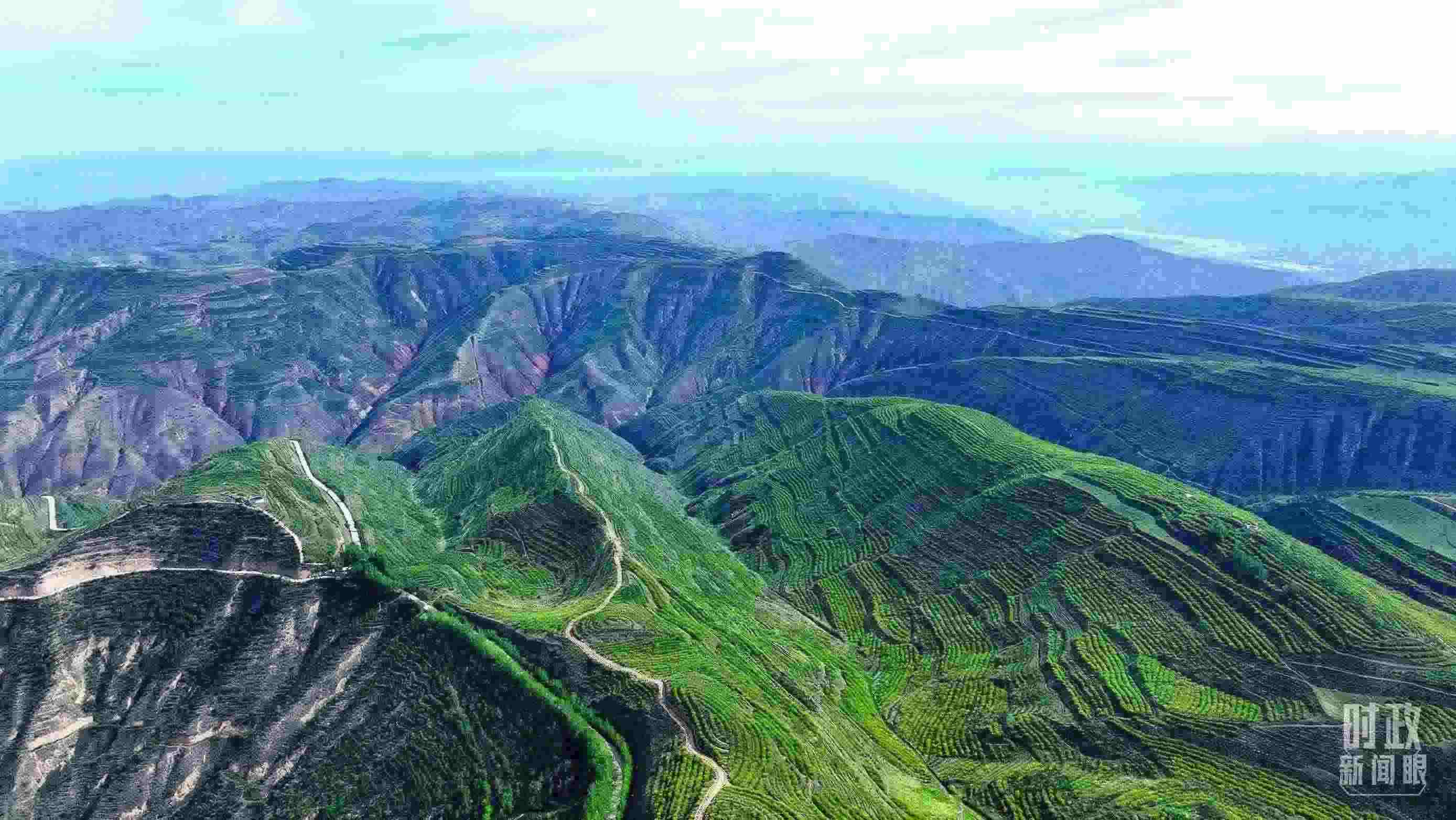 △青海西寧。（總臺(tái)記者柳成拍攝）