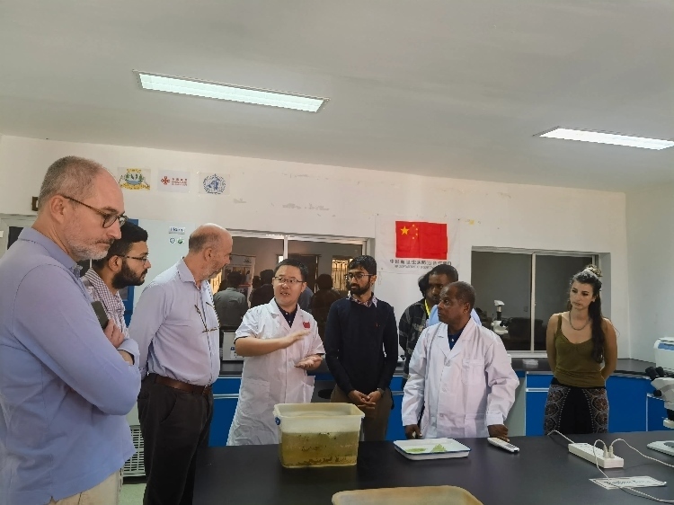 活動現(xiàn)場。專家組供圖