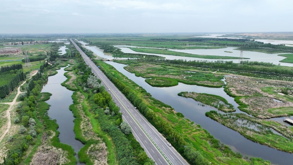 這是2024年6月13日拍攝的黃河寧夏段濱河大道（無人機(jī)照片）。近年來，寧夏努力建設(shè)黃河流域生態(tài)保護(hù)和高質(zhì)量發(fā)展先行區(qū)，全力打好黃河保護(hù)持久戰(zhàn)。新華社記者 王鵬 攝