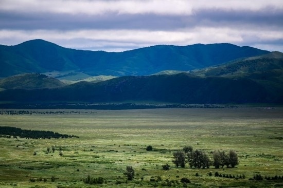 2023年8月4日拍攝的大興安嶺南麓內(nèi)蒙古罕山國家級自然保護(hù)區(qū)風(fēng)光。新華社記者 連振 攝