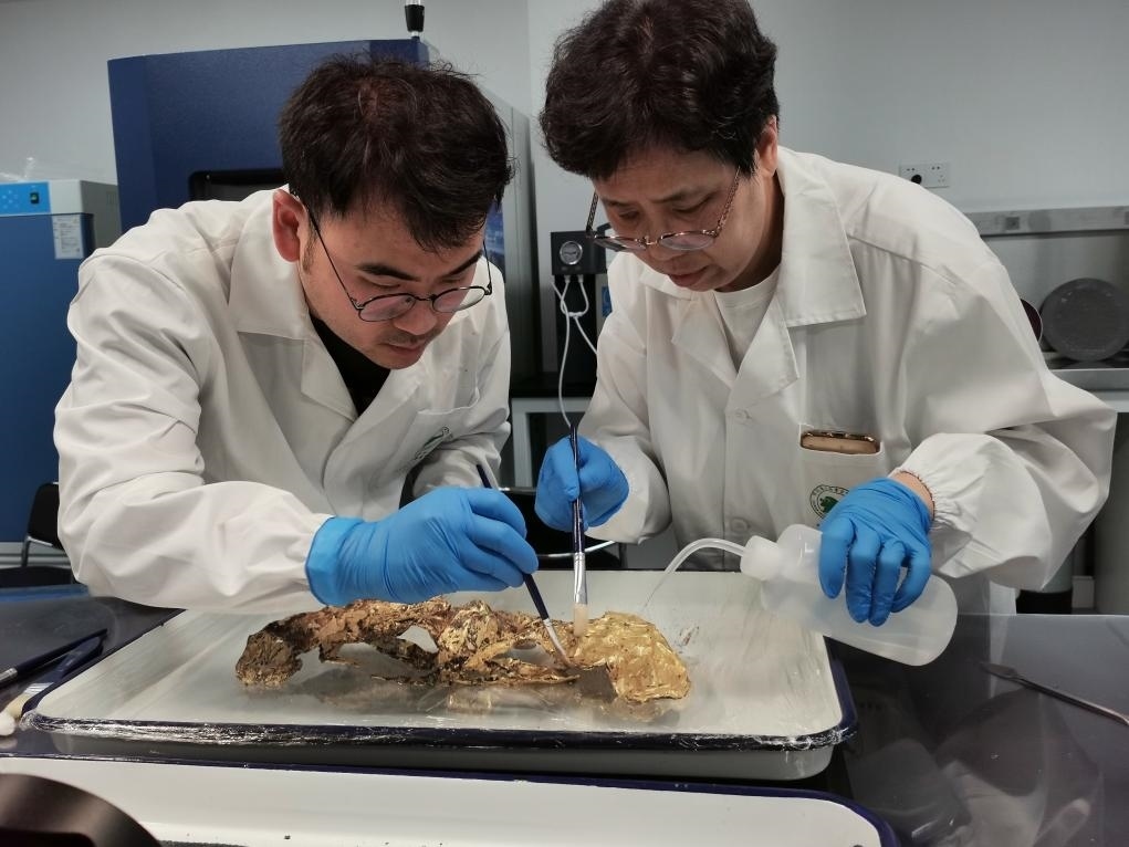 2023年7月，馬燕如（右）帶著魯海子（左）修復三星堆遺址出土的黃金面具。新華社發(fā)（四川省文物考古研究院供圖）