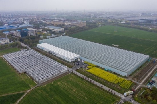 2024年3月28日，空中俯瞰嘉興南湖區(qū)湘家蕩農(nóng)業(yè)數(shù)字化工廠（無人機照片）。該農(nóng)業(yè)數(shù)字化工廠占地總面積約62畝，包含智慧農(nóng)業(yè)生產(chǎn)、物聯(lián)網(wǎng)智能管理、自動分揀包裝、保鮮儲藏物流、高科技示范展示等五大功能區(qū)，可直接或間接培養(yǎng)帶動新型職業(yè)技術(shù)農(nóng)民500人以上。新華社記者 徐昱 攝