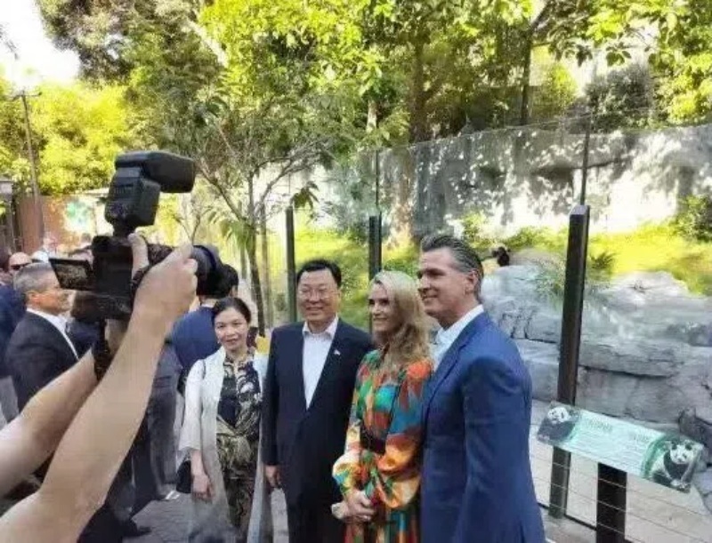 謝鋒大使及夫人與加州州長(zhǎng)紐森夫婦在圣迭戈動(dòng)物園大熊貓館前合影。圖片為中國(guó)駐美大使館提供