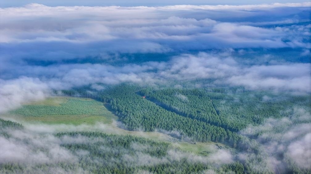 2024年7月26日拍攝的塞罕壩國家級自然保護區(qū)景色。新華社發(fā)（劉滿倉 攝）