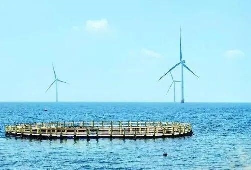 △山東萊州風(fēng)電項目實現(xiàn)了海上風(fēng)電和海洋牧場融合發(fā)展。