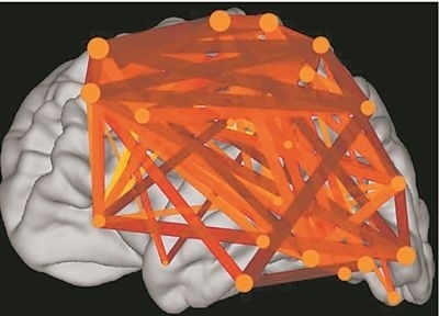 圖上的線條代表大腦皮層中與語言處理相關(guān)的各個區(qū)域之間的連接。當(dāng)閱讀時，這些區(qū)域的神經(jīng)元會以精確同步的方式激發(fā)，這種現(xiàn)象被稱為共同漣漪。圖片來源：加州大學(xué)圣迭戈分校