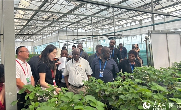 研討班成員在大棚中了解植物種植技術(shù)。人民網(wǎng) 曹欣悅攝