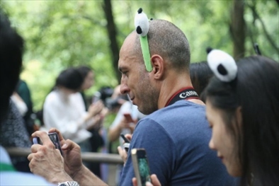 俄羅斯《俄羅斯報》視覺內(nèi)容編輯阿爾圖爾·杰魯諾夫在拍攝熊貓。（李佩藺 攝）