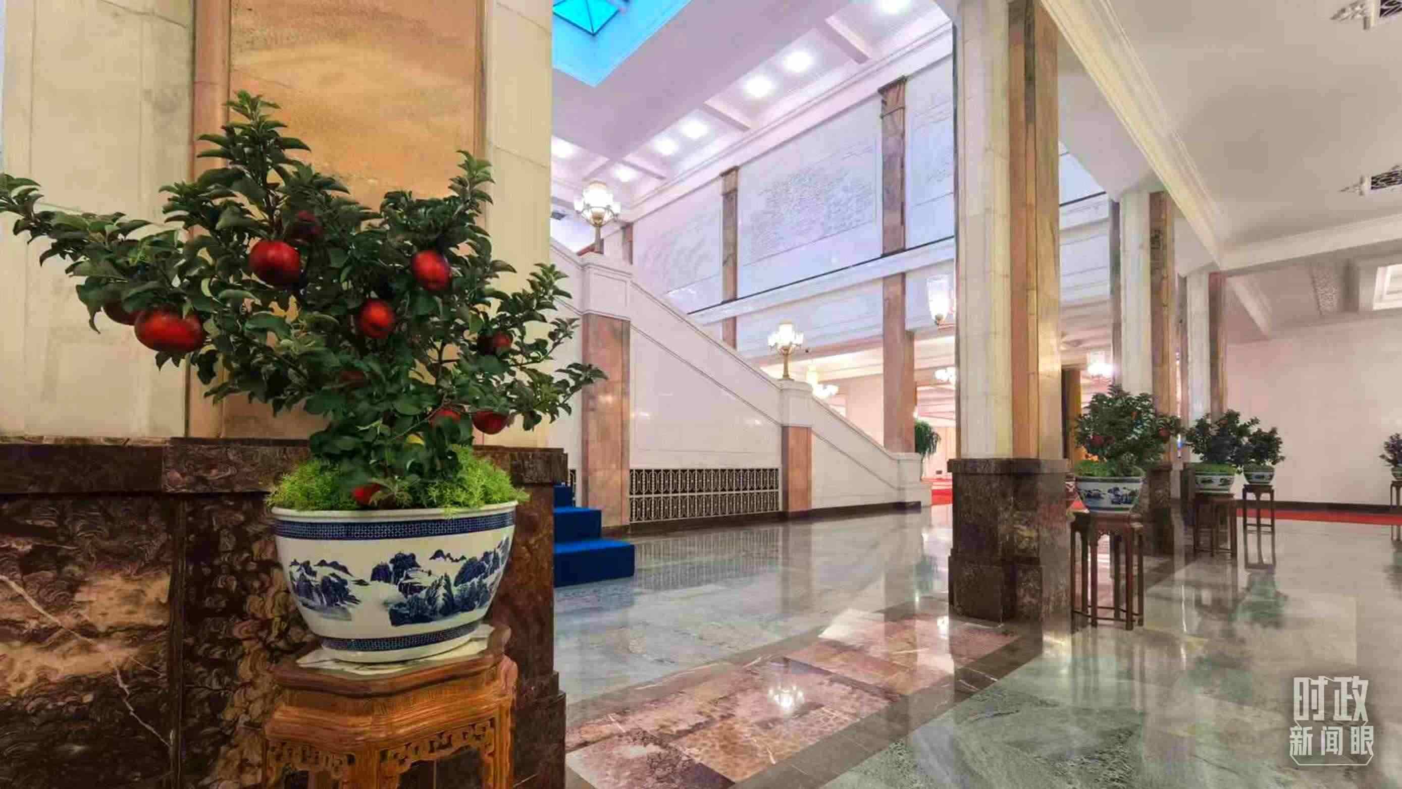  △大會堂內(nèi)的“碩果累累”盆栽。（總臺國廣記者吳倩拍攝）