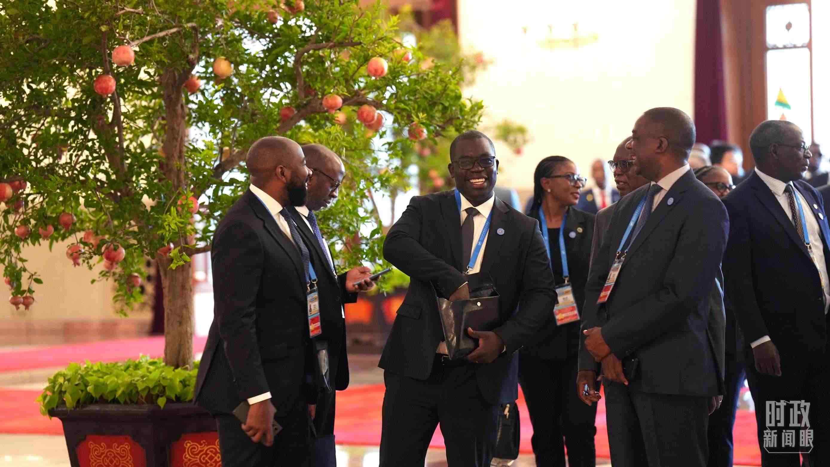 出席中非合作論壇北京峰會(huì)的非洲國家代表。（總臺(tái)記者李晉拍攝）