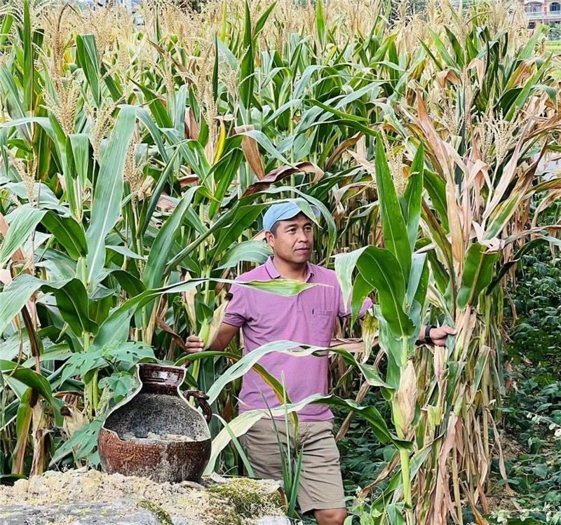不是攀登石林高臺(tái)，就是鉆入玉米莊稼地，吉爾吉斯斯坦《自由之山報(bào)》總編輯納拉雷·阿桑巴耶夫“身手不凡”，與生長(zhǎng)旺盛的玉米構(gòu)成了花茂村的鄉(xiāng)間野趣。（張亞欣攝）