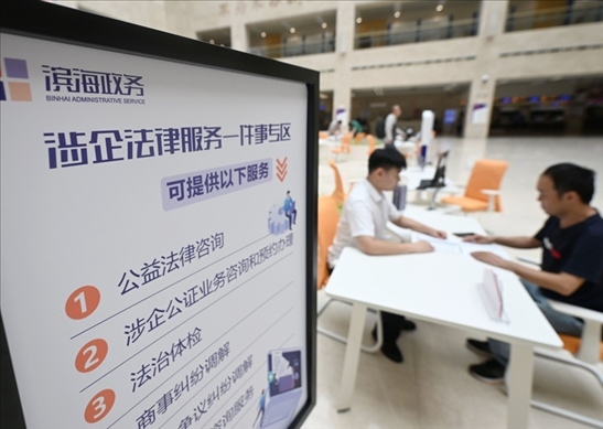 在天津?yàn)I海新區(qū)政務(wù)服務(wù)中心，工作人員在“涉企法律服務(wù)一件事”專區(qū)為市民提供服務(wù)（2024年7月31日攝）。新華社記者 趙子碩 攝