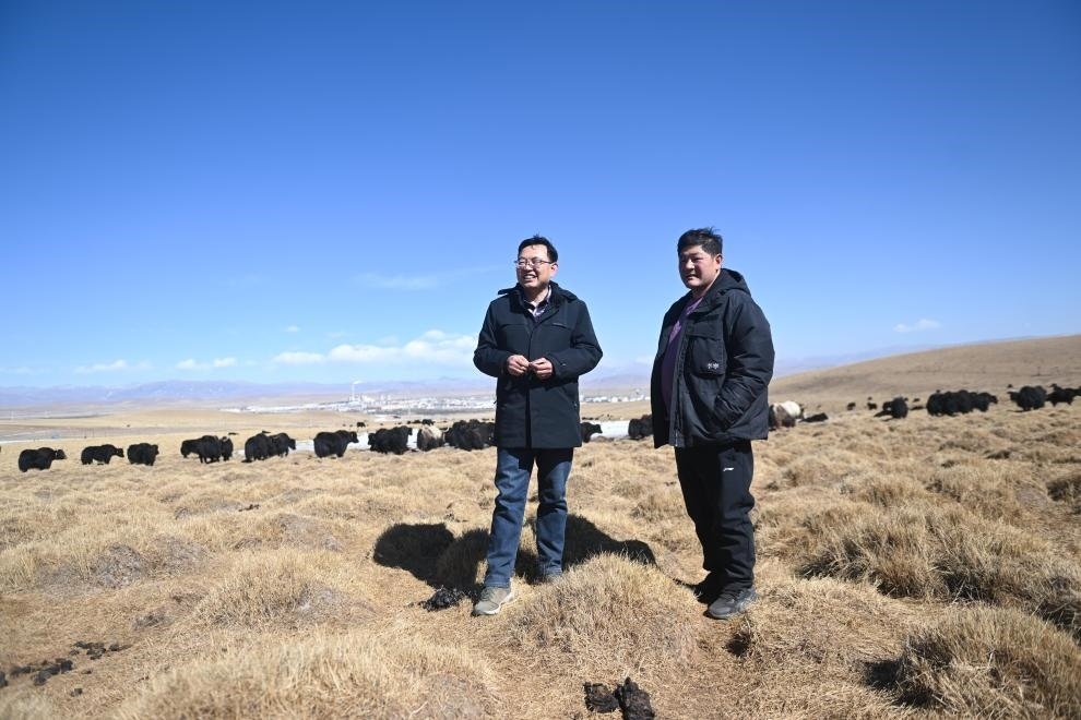 2023年2月24日，在青海省海北藏族自治州海晏縣青海湖鄉(xiāng)達(dá)玉日秀村，全國(guó)人大代表董全民（左）查看牧民東知布家的草場(chǎng)。新華社記者 張龍 攝